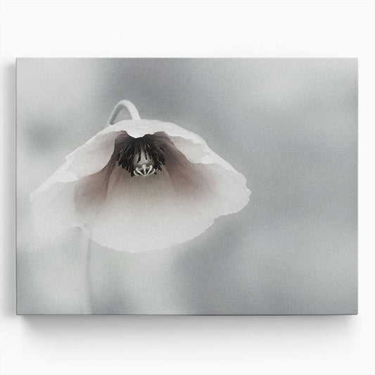 Delicate White Poppy Floral Macro Garden Wall Art by Luxuriance Designs. Made in USA.