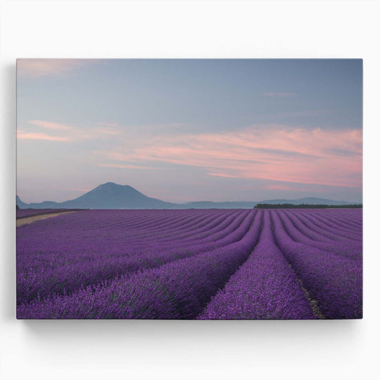 Provence Lavender Fields Floral Landscape Wall Art by Luxuriance Designs. Made in USA.