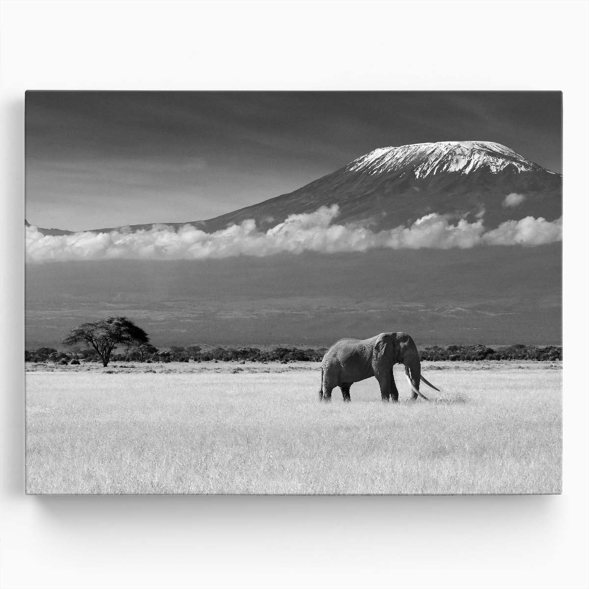 Majestic African Elephant & Kilimanjaro Wall Art by Luxuriance Designs. Made in USA.
