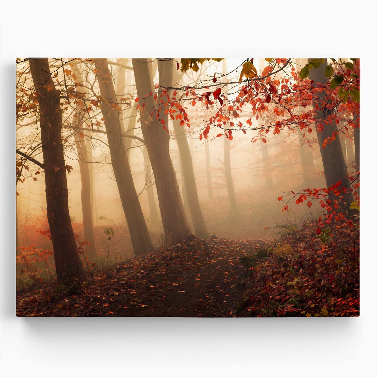 Mystical Autumn Fog & Red Forest Path Wall Art by Luxuriance Designs. Made in USA.