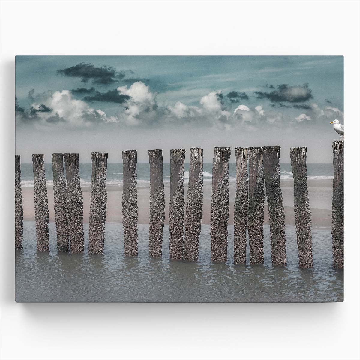 Coastal Dutch Seascape with Seagulls Wall Art by Luxuriance Designs. Made in USA.