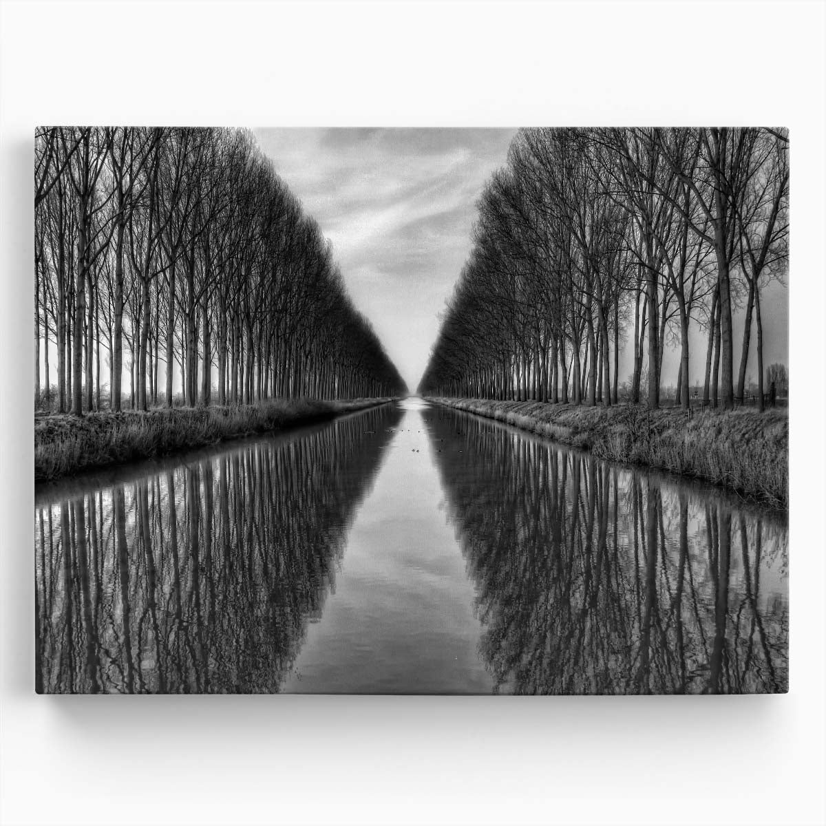 Zeebruges Canal Autumn Reflection Black and White Photography Wall Art by Luxuriance Designs. Made in USA.