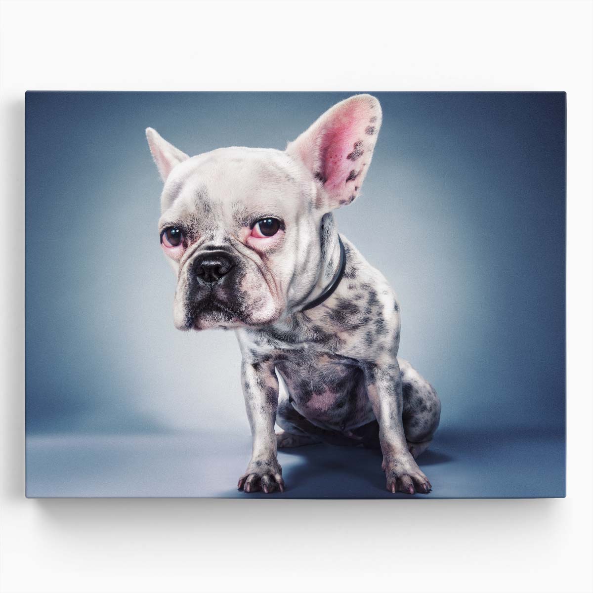Creative Pink French Bulldog with Big Ears Wall Art by Luxuriance Designs. Made in USA.