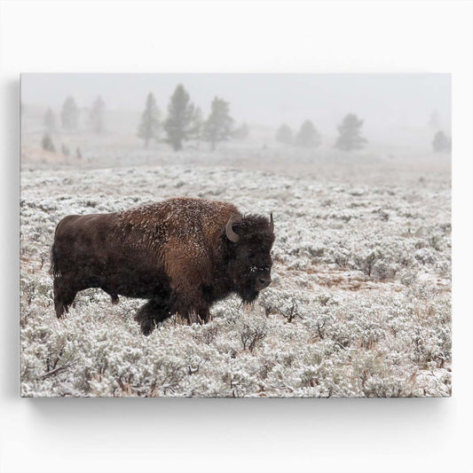 Majestic Yellowstone Bison in Snowy Landscape Wall Art by Luxuriance Designs. Made in USA.