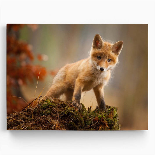 Autumn Baby Red Fox Cub Photography by Adamec Wall Art by Luxuriance Designs. Made in USA.