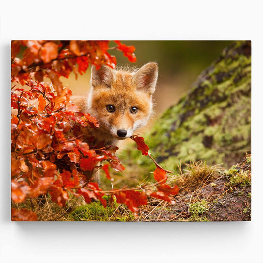 Autumn Fox Cub Peek Cute Wildlife Photography Wall Art by Luxuriance Designs. Made in USA.