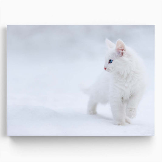 Cute White Kitten in Snowy Denmark Winter Wall Art by Luxuriance Designs. Made in USA.