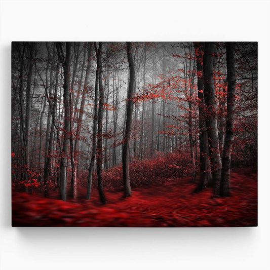 Surreal Autumn Forest & River Landscape Photography Wall Art by Luxuriance Designs. Made in USA.