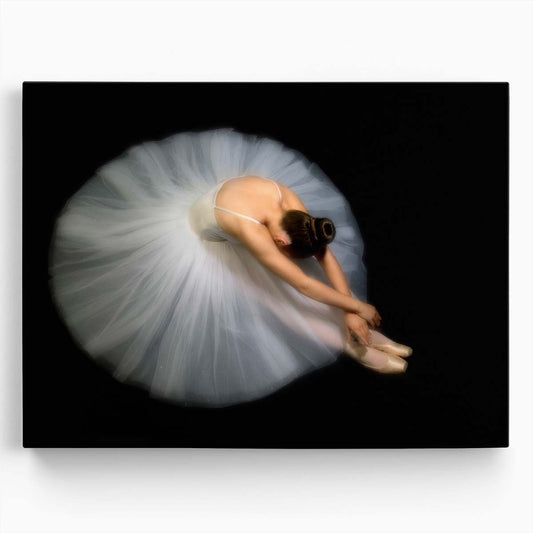 Graceful Ballerina Portrait in White Dress Wall Art by Luxuriance Designs. Made in USA.