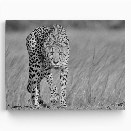 Intense Gaze Stalking Cheetah Monochrome Wall Art by Luxuriance Designs. Made in USA.