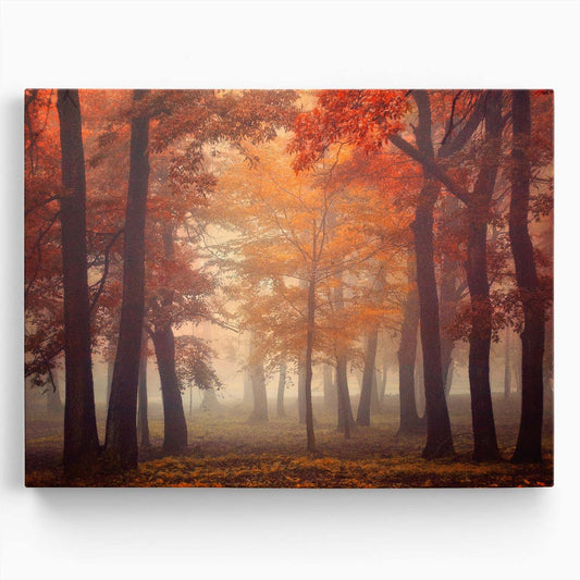 Enchanted Autumn Forest Mist & Colors Wall Art by Luxuriance Designs. Made in USA.