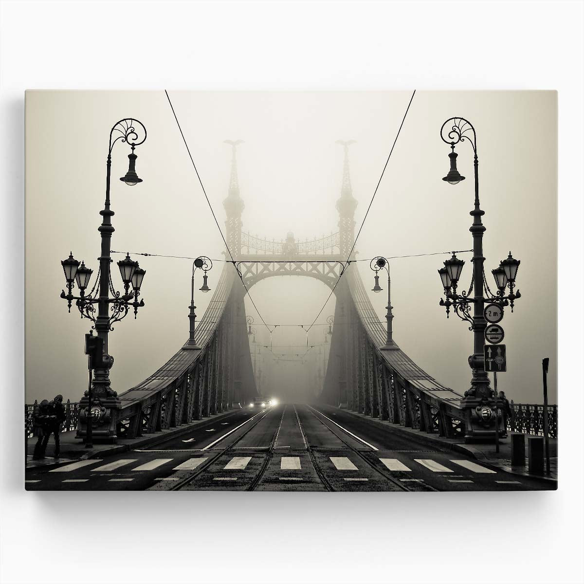 Foggy Budapest Liberty Bridge Iconic View Wall Art by Luxuriance Designs. Made in USA.