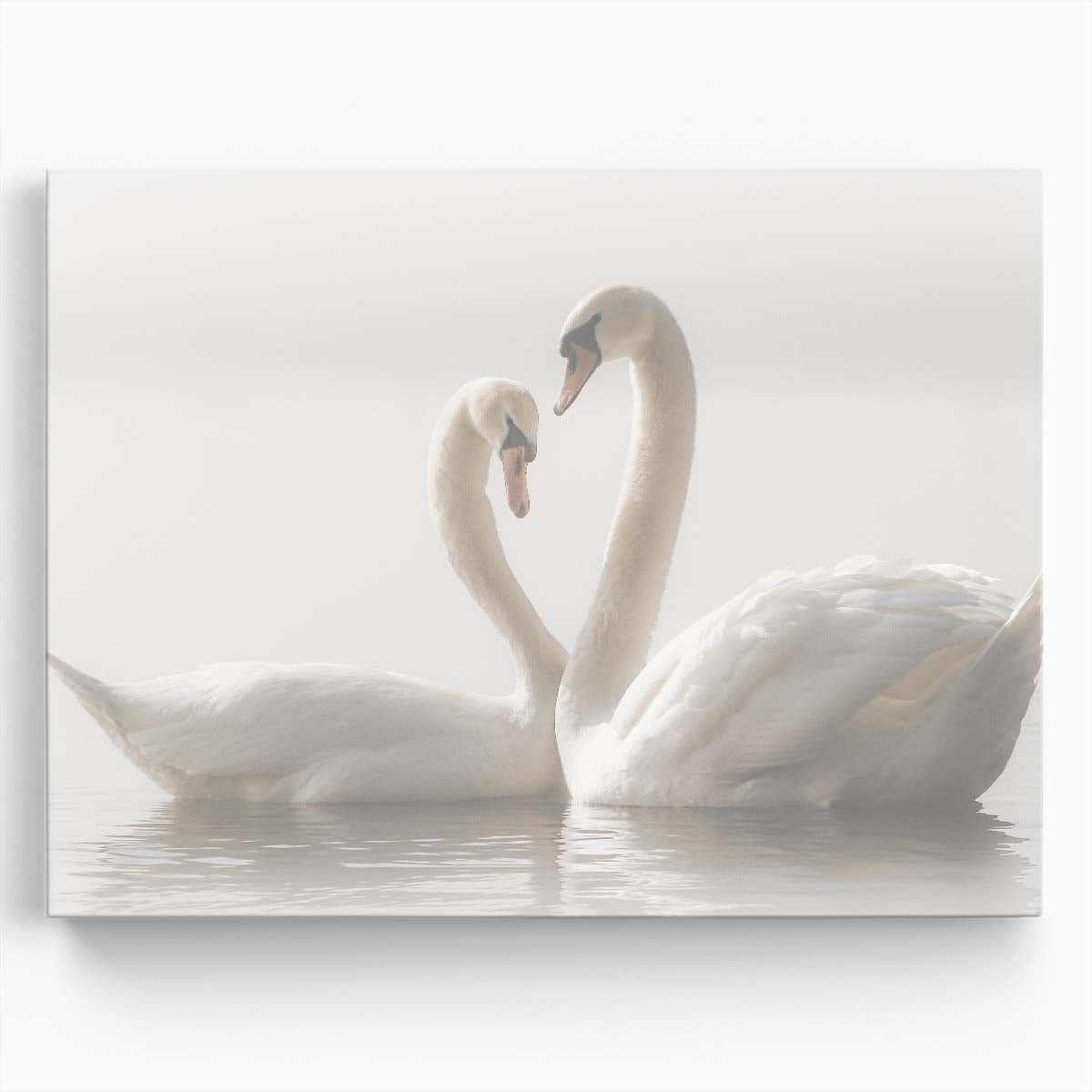 Romantic Misty Swan Couple in Tranquil German Waters Wall Art by Luxuriance Designs. Made in USA.