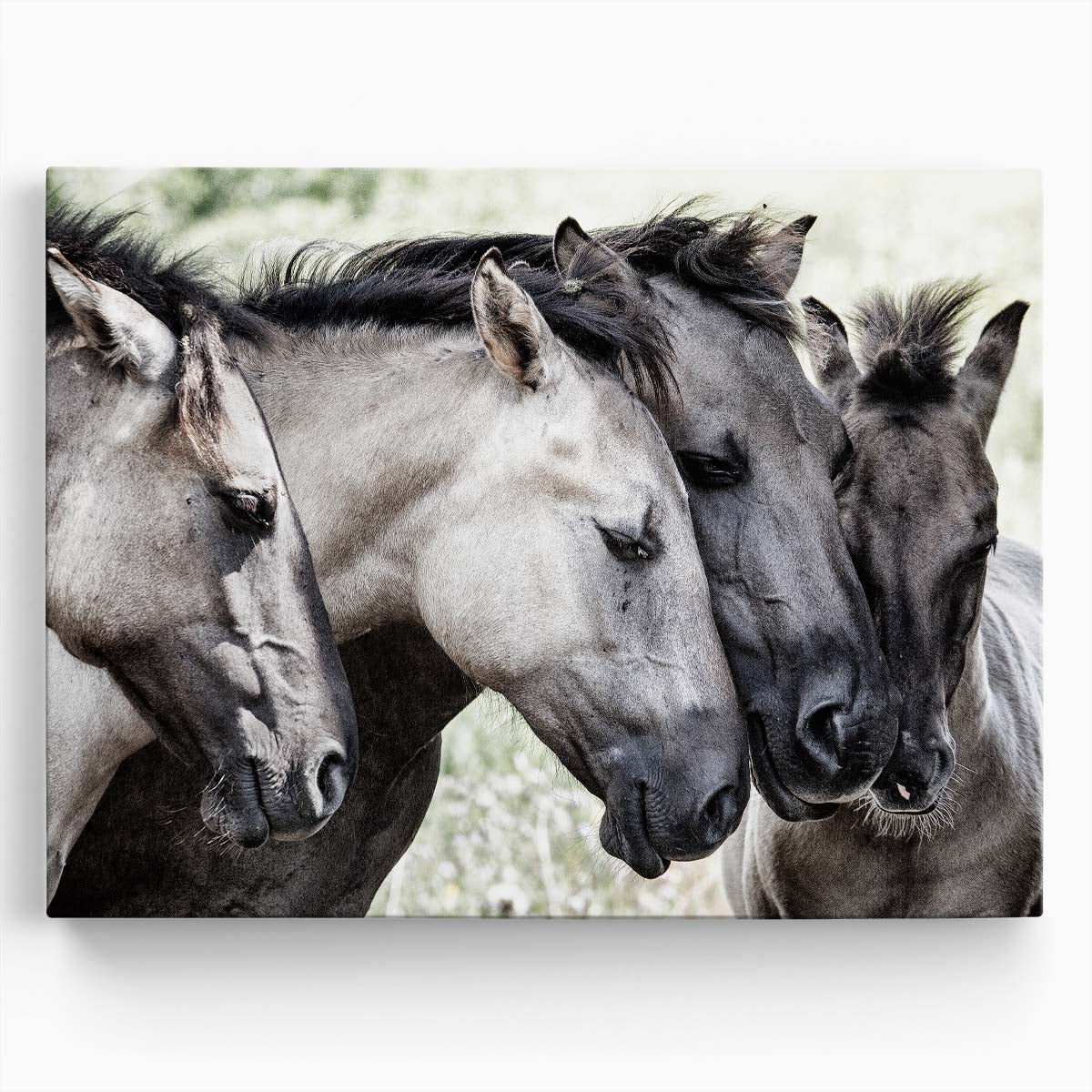 Romantic Konik Horses Countryside Encounter Wall Art by Luxuriance Designs. Made in USA.