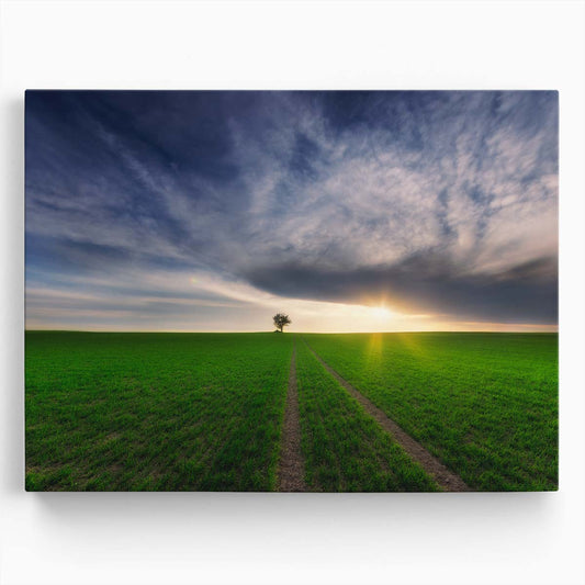 Sunrise Over Solitary Tree in Green Polish Fields Wall Art by Luxuriance Designs. Made in USA.