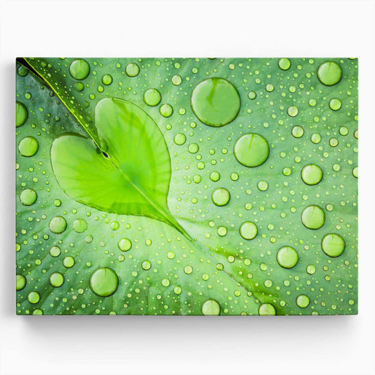 Romantic Green Leaf Heart & Water Droplets Wall Art by Luxuriance Designs. Made in USA.
