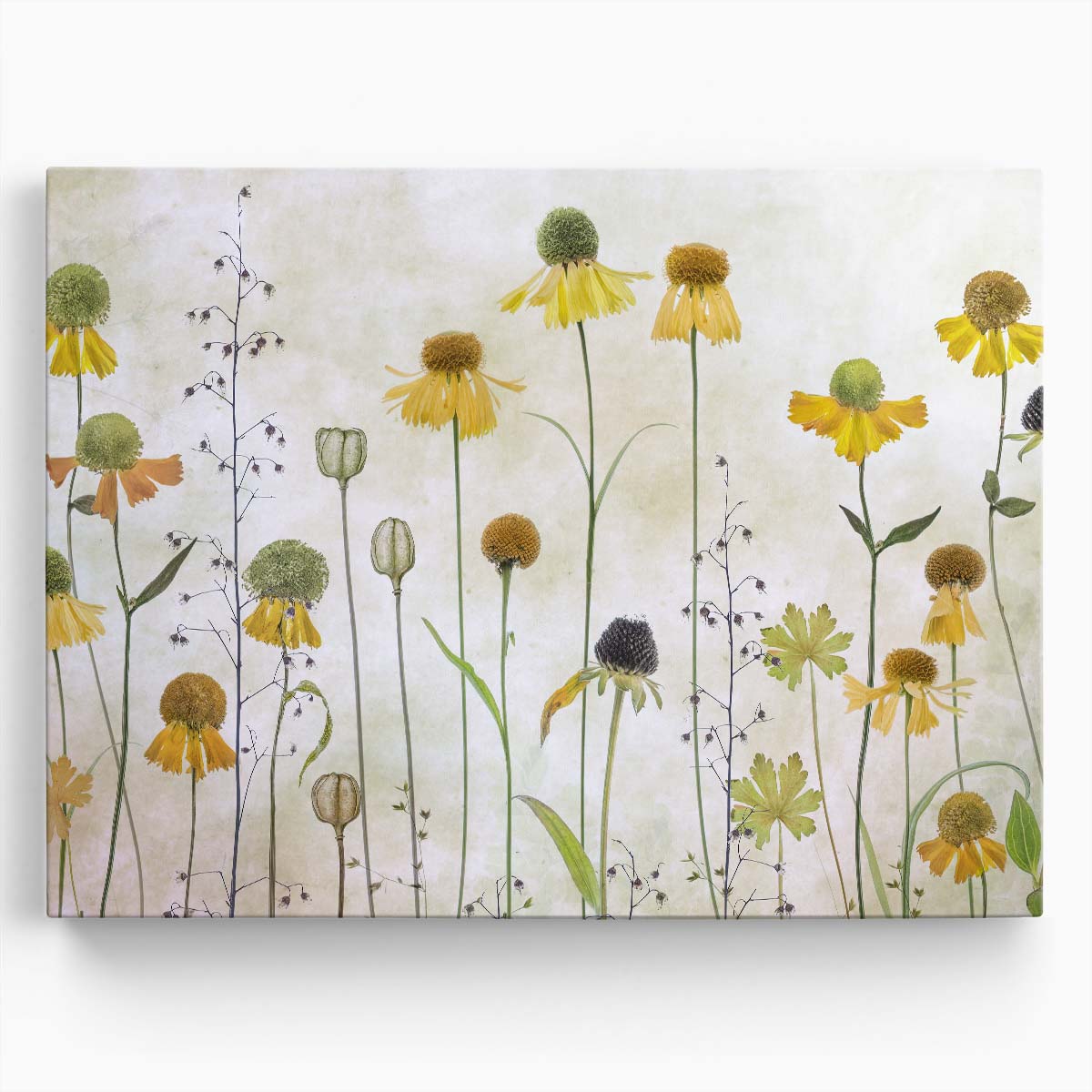 Helenium Summer Flowers Textured Botanical Photography by Mandy Disher Wall Art by Luxuriance Designs. Made in USA.