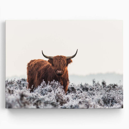 Frosty Highland Cow Photography Rural Winter Wall Art by Luxuriance Designs. Made in USA.