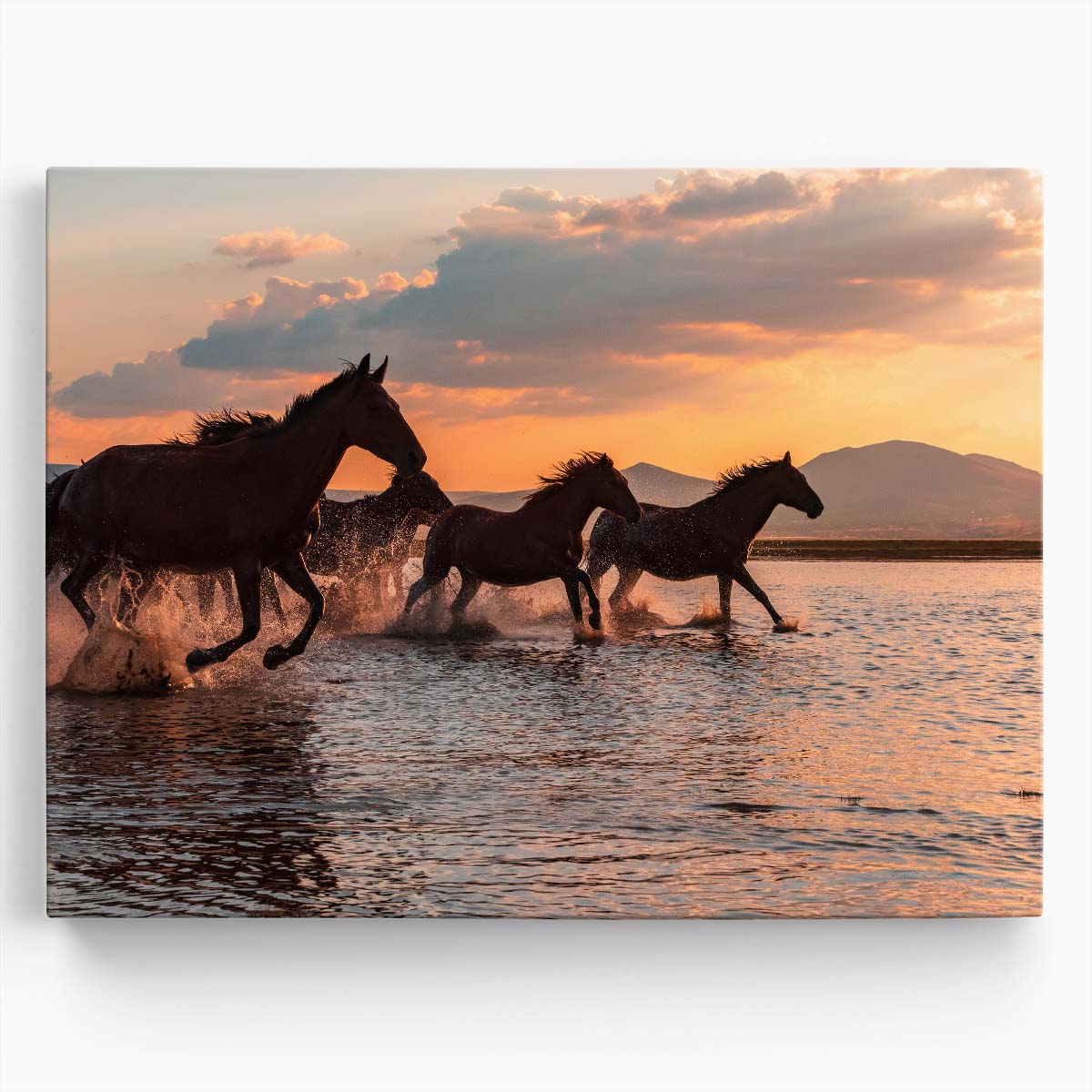 Wild Horses Galloping at Sunset Beach Photography Wall Art by Luxuriance Designs. Made in USA.