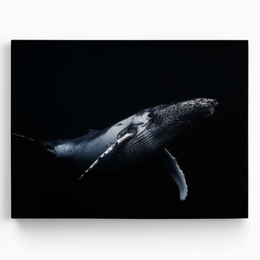 Majestic Humpback Whale Underwater Dive Wall Art by Luxuriance Designs. Made in USA.