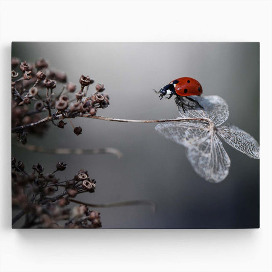 Macro Close-Up Ladybug Reaching on Autumn Hydrangea Wall Art by Luxuriance Designs. Made in USA.