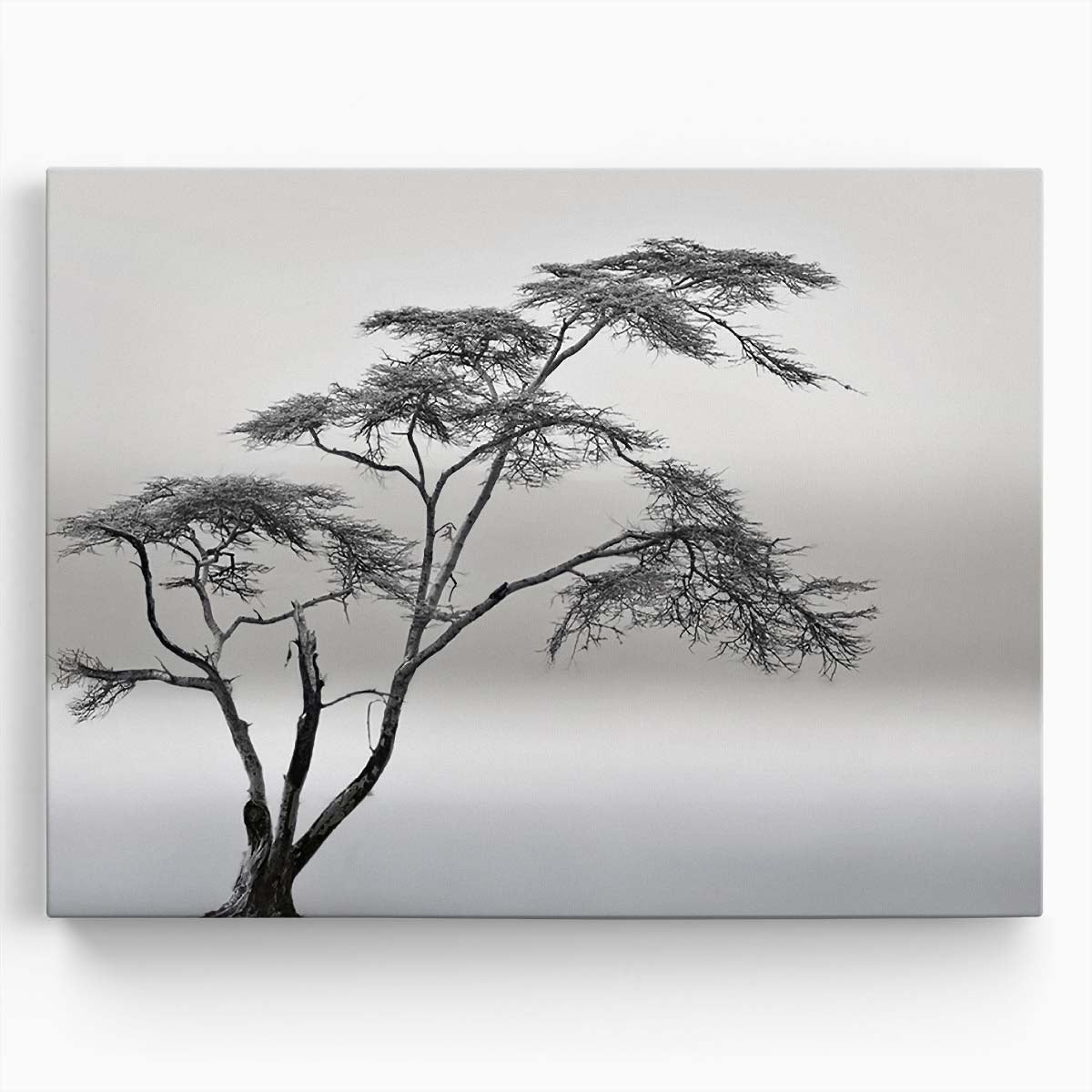 Misty Savannah Lonely Tree Monochrome Landscape Wall Art by Luxuriance Designs. Made in USA.