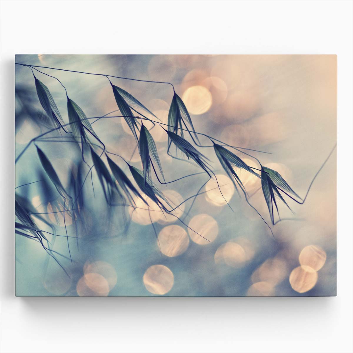 Serene Macro Grass & Reed Landscape - Pastel Photography Wall Art by Luxuriance Designs. Made in USA.