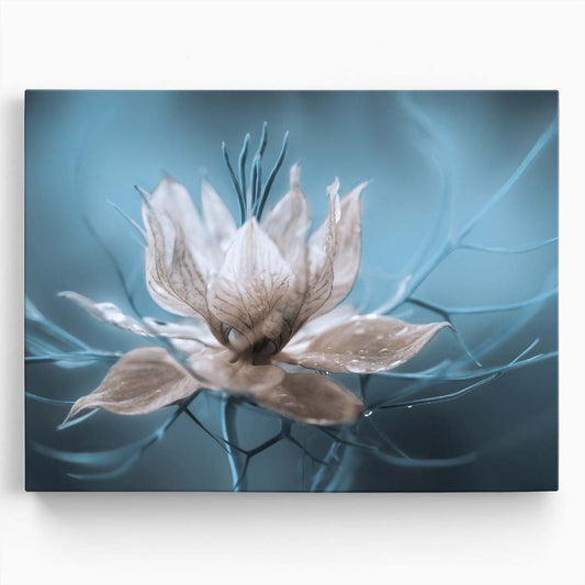 Delicate Blue & White Nigella Floral Macro Wall Art by Luxuriance Designs. Made in USA.