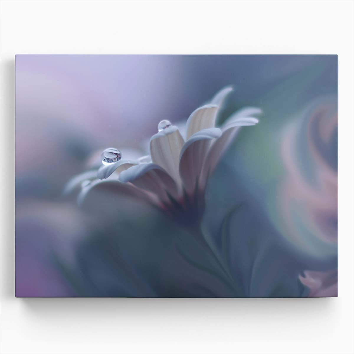 Delicate Floral Dewdrops Macro Pastel Wall Art by Luxuriance Designs. Made in USA.