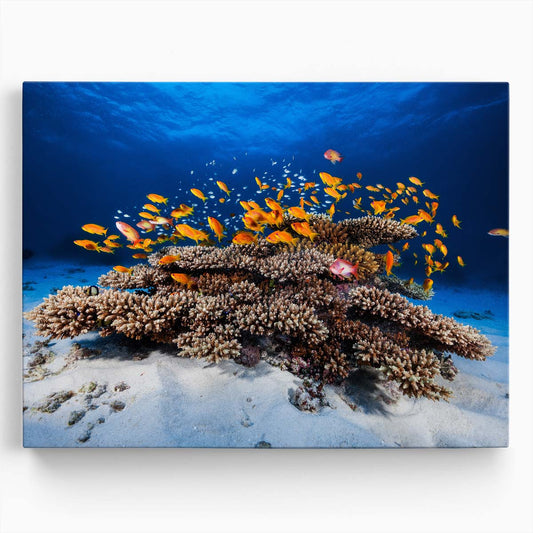 Vibrant Underwater Coral Reef & Fish Landscape Wall Art by Luxuriance Designs. Made in USA.