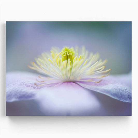 Delicate Pink Mayleen Clematis Macro Floral Wall Art by Luxuriance Designs. Made in USA.