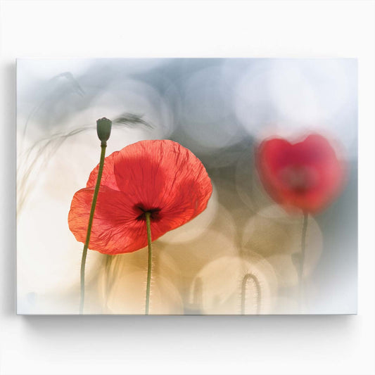 Romantic Red Poppy Meadow Sunrise Macro Photography Wall Art by Luxuriance Designs. Made in USA.