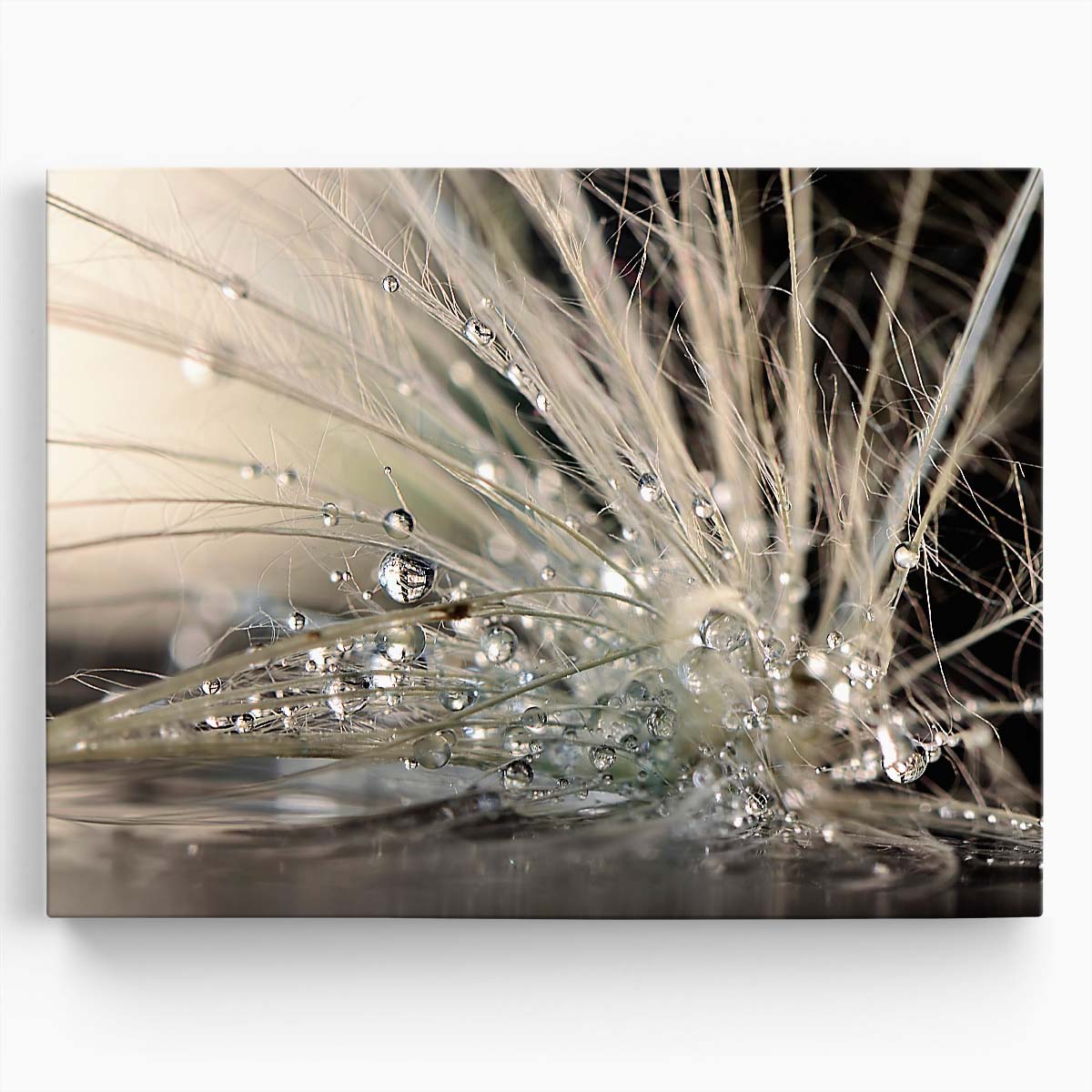 Pearl Water Drops Macro Photography by Maryam Zahirimehr Wall Art by Luxuriance Designs. Made in USA.