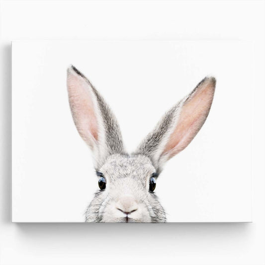 Cute Bunny Portrait on Bright Background - Wildlife Photography Wall Art by Luxuriance Designs. Made in USA.