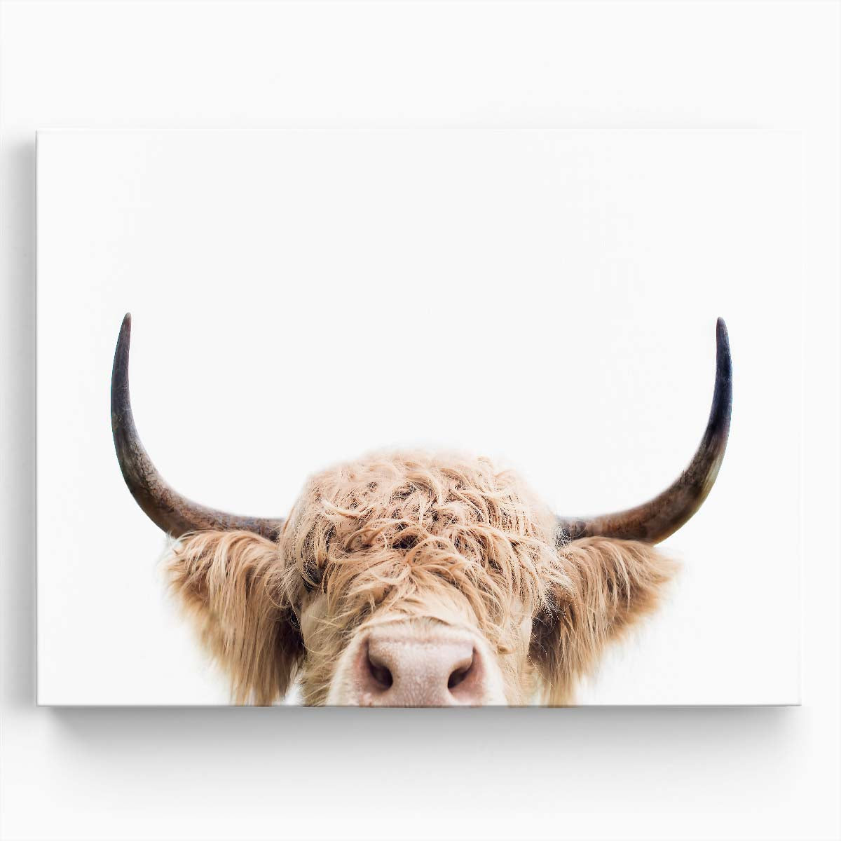 Highland Cow Close-Up Portrait - Rural Farm Photography Wall Art by Luxuriance Designs. Made in USA.