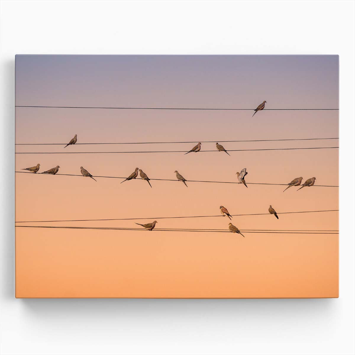 Sunrise Birds on Wire New Mexico Dawn Wall Art by Luxuriance Designs. Made in USA.