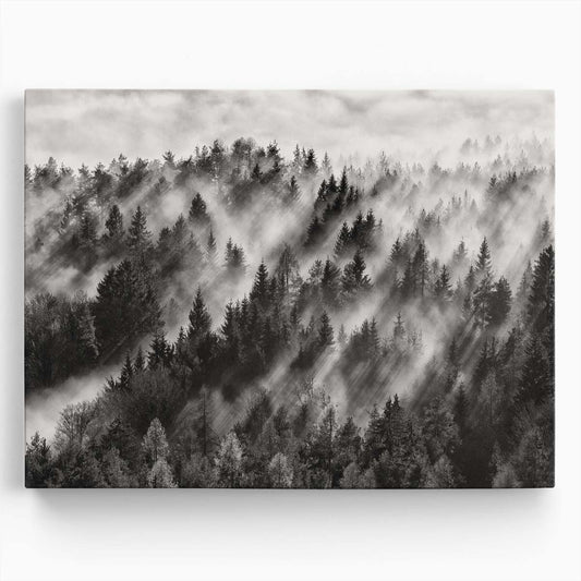 Misty Pine Forest Aerial View Black & White Photography Wall Art by Luxuriance Designs. Made in USA.