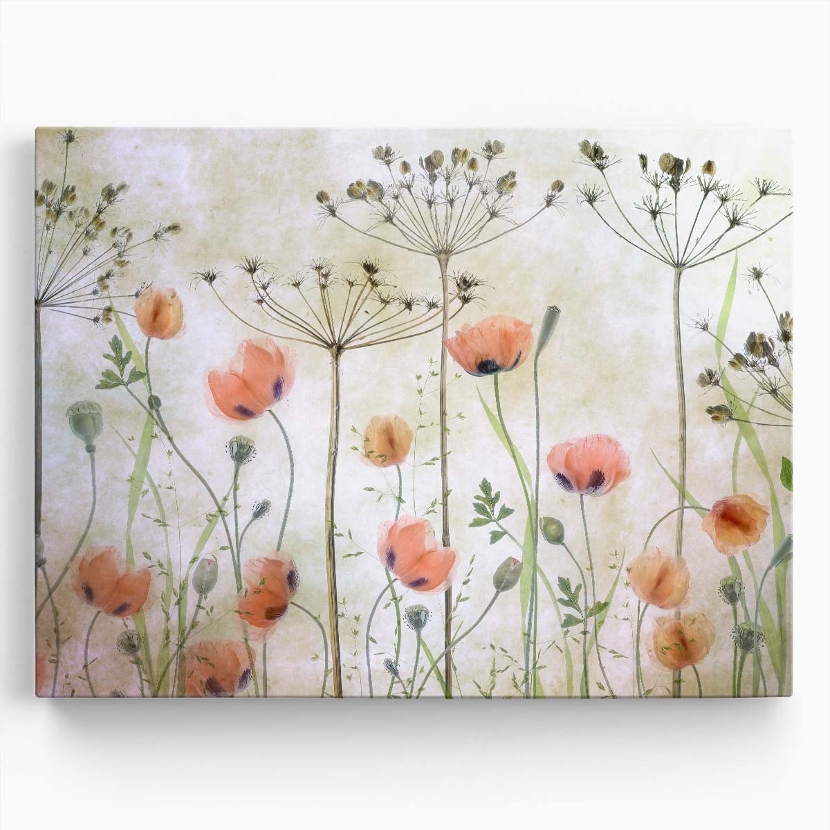 Poppy Meadow Floral & Botanical Still Life Photography Wall Art by Luxuriance Designs. Made in USA.