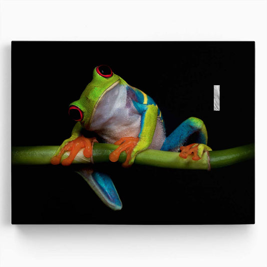Red-Eyed Tree Frog Nocturnal Amphibian Macro Photography Wall Art by Luxuriance Designs. Made in USA.