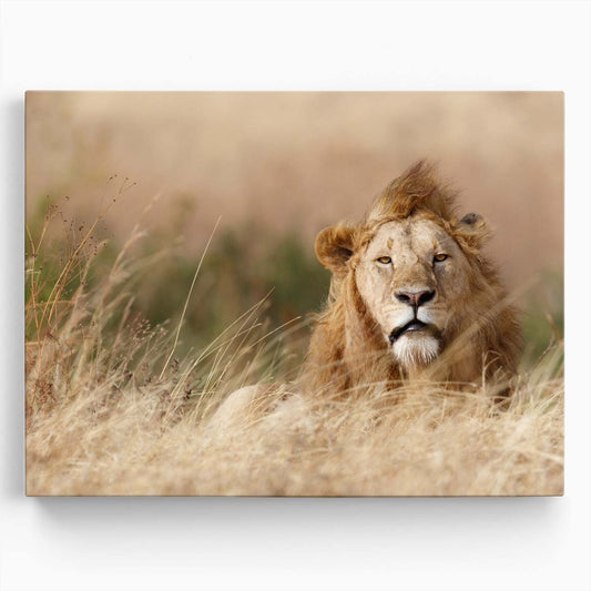 Serengeti King WindSwept Lion Safari Wall Art by Luxuriance Designs. Made in USA.