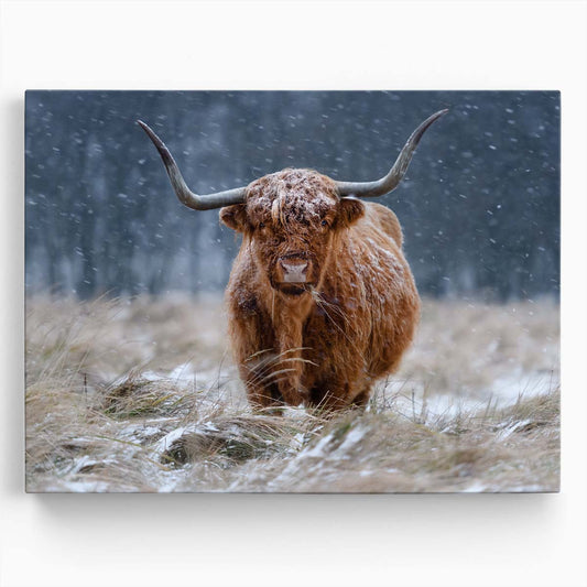 Winter Highland Cow Portrait in Snowy Dutch Countryside Wall Art by Luxuriance Designs. Made in USA.
