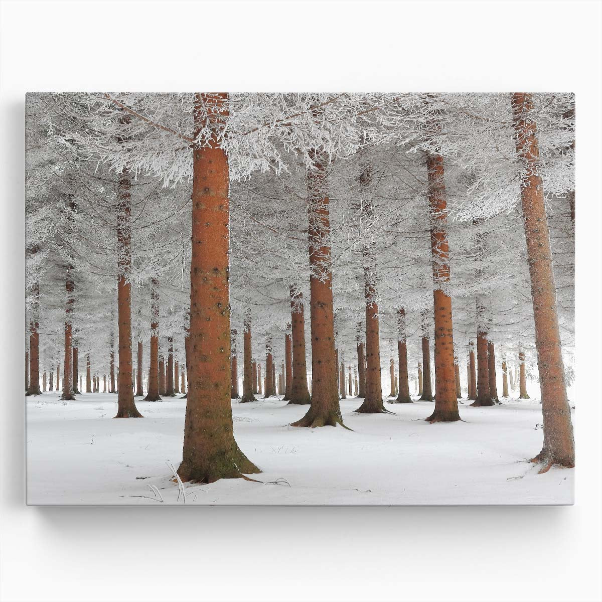 Frosty Serbian Winter Forest Snowscape Wall Art by Luxuriance Designs. Made in USA.