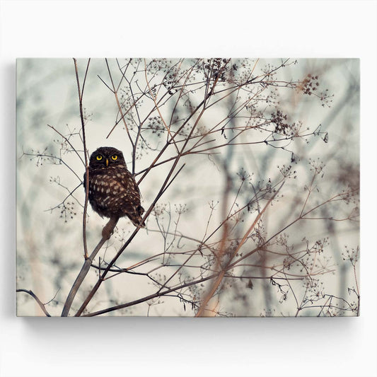 Autumn Owl Gaze Wildlife Photography of Bird on Branch Wall Art by Luxuriance Designs. Made in USA.