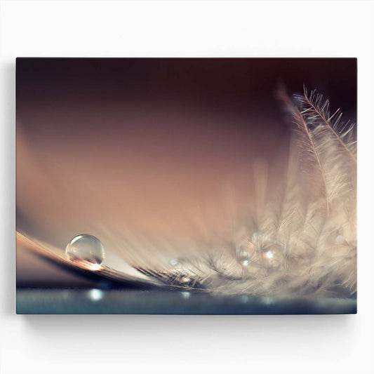 Delicate Macro Water Drops Photography Pastel Feather Art Wall Art by Luxuriance Designs. Made in USA.