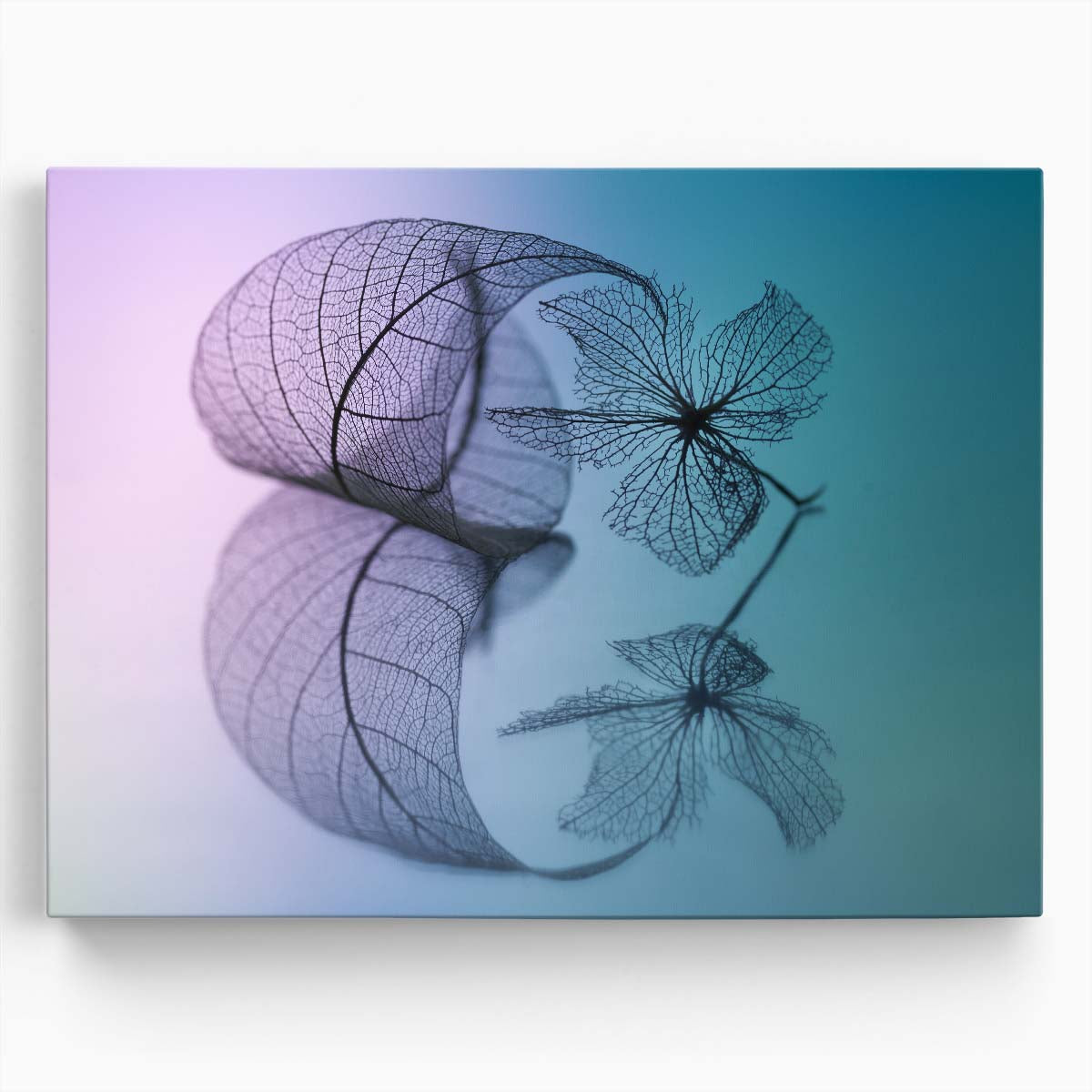 Vibrant Purple Floral Macro Minimalism Wall Art by Luxuriance Designs. Made in USA.
