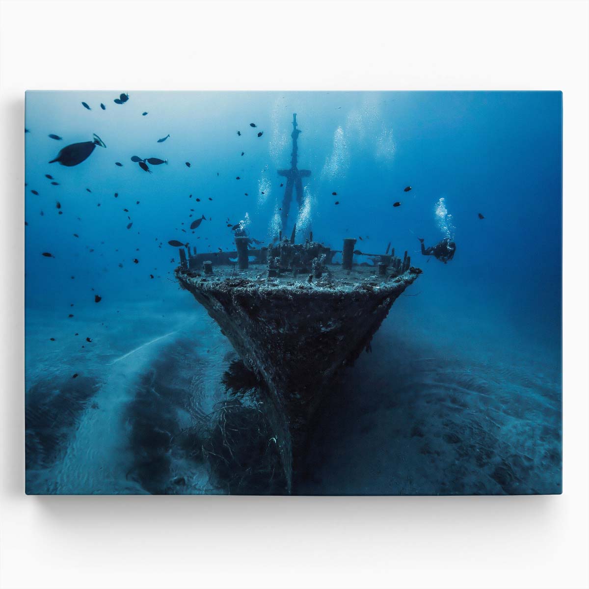 Sunken Shipwreck Adventure Deep Ocean Wall Art by Luxuriance Designs. Made in USA.