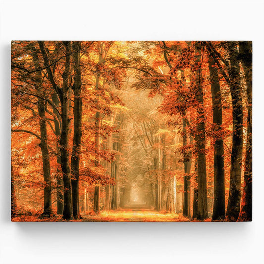 Majestic Autumn Forest Pathway - Golden Foliage Photography Wall Art by Luxuriance Designs. Made in USA.
