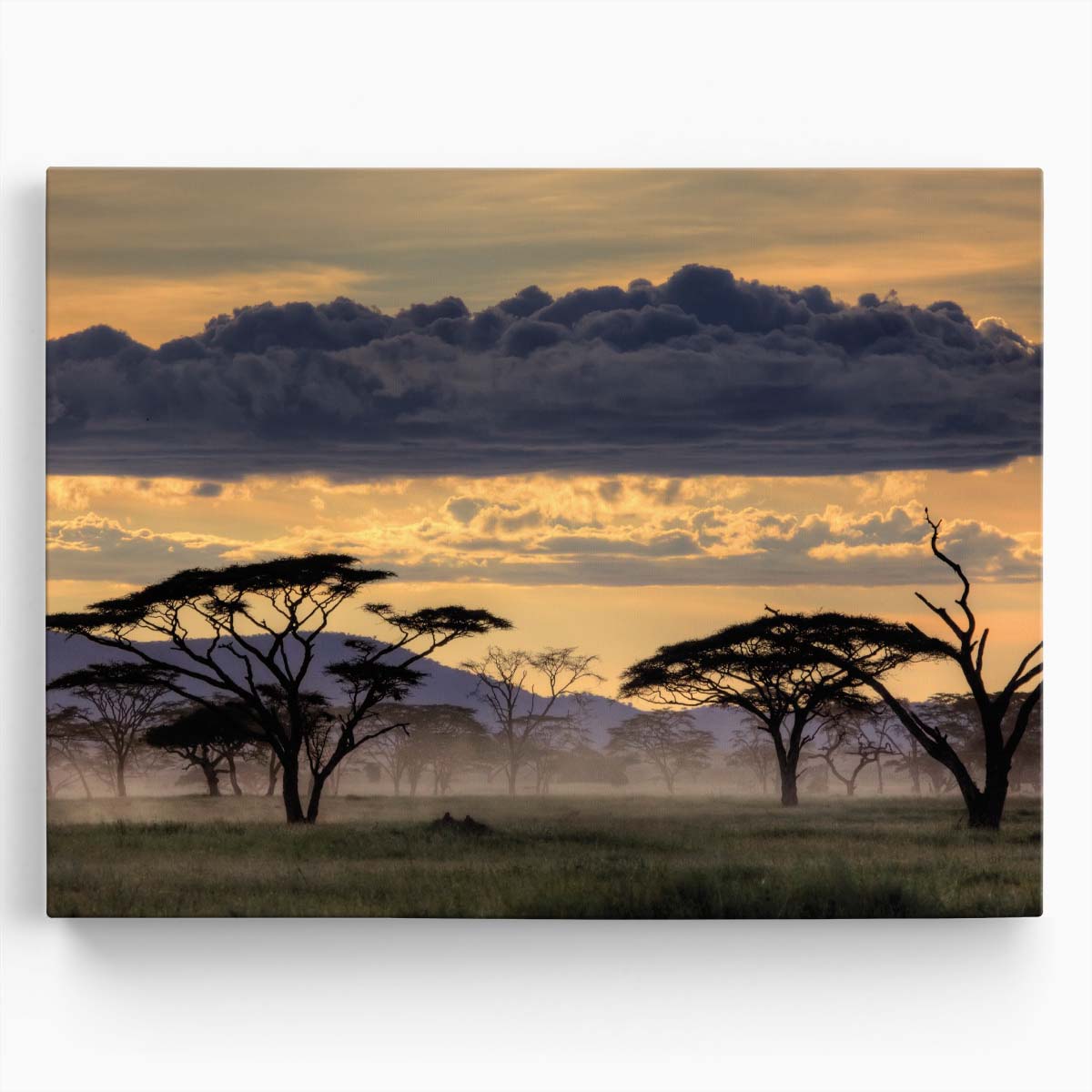 Tanzania Savannah Sunset & Misty Trees Wall Art by Luxuriance Designs. Made in USA.