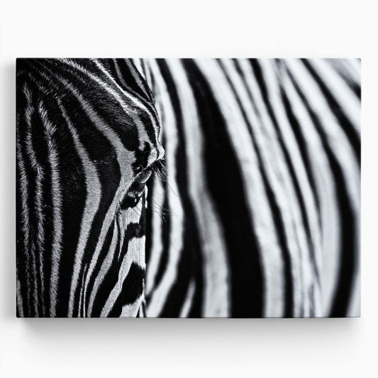 Monochrome Zebra Stripe Pattern Abstract Photography Wall Art by Luxuriance Designs. Made in USA.