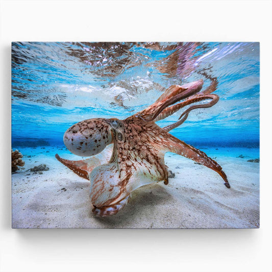 Red Octopus Underwater Seascape Photography Wall Art by Luxuriance Designs. Made in USA.